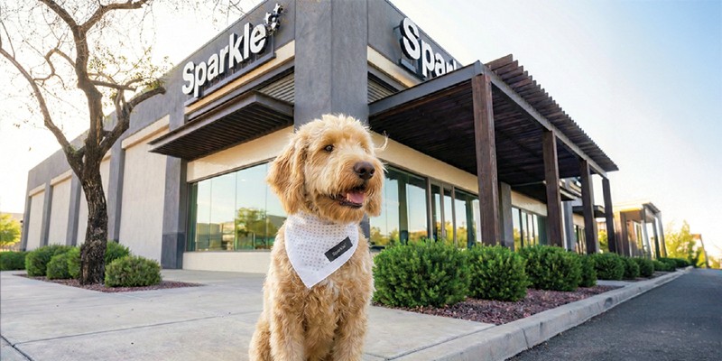 sparkle grooming co. franchise opportunities Dallas Fort Worth