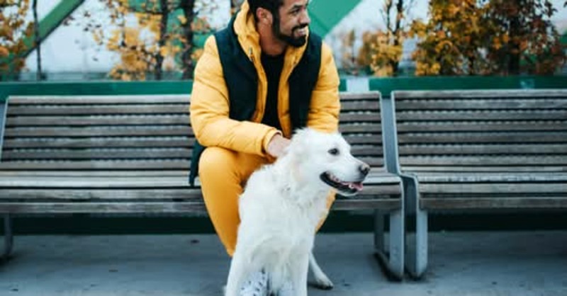 sparkle grooming co. franchise opportunities Dallas Fort Worth